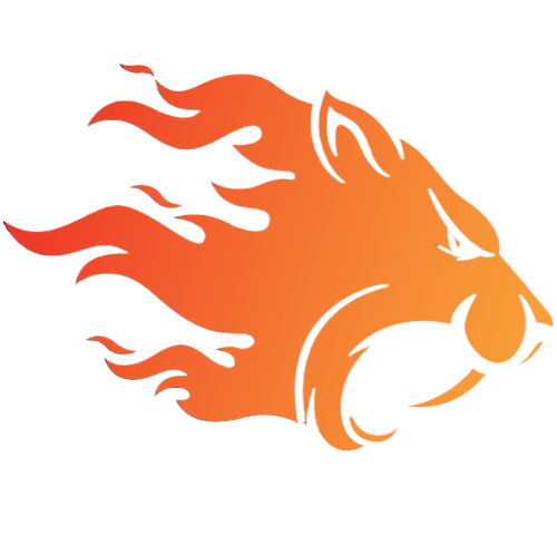 TIGER-AIO logo